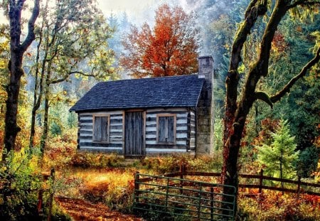 Forest House - house, forest, paint, nature