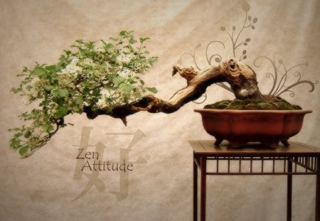 zen attitude - self, me, i, my