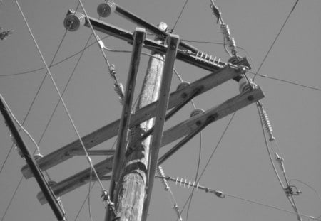 powerlines - perspective, black and white, grayscale, powerlines