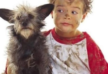 Best Friends - ears, boy, dog, dirt, funny