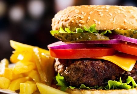 Nice Hamburger and Fries - abstract, pickles, bun, fries, french, lettuce, cheese, yummy, tomato, hamburger, onion