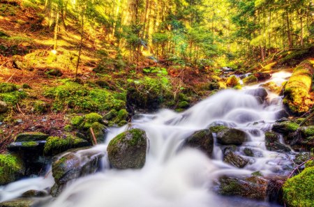 Waterfalls - trees, sun, stream, water, rocks, white, yellow, green, sunny, rock, grass, falls, light, daylight, day, waterfalls, nature, forest, leaves