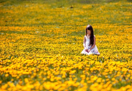 Little Lady - little lady, yellow, splendor, flowers field, girl, yellow flowers, sweet, flowers, nature, lady, field, little, field of flowers