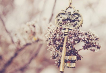 Key - Key, lock, heart, photography