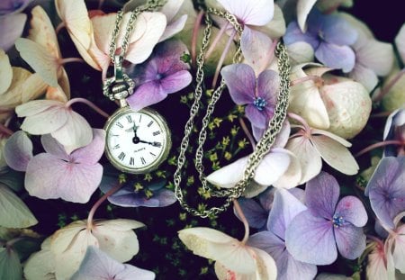 Pocket Watch - flowers, watch, pocket, time