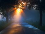 country road in morning mist