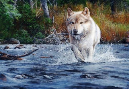 The Hunter - painting, nature, wildlife, predator, woilf, river, water, summer