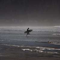 Ocean Surfer