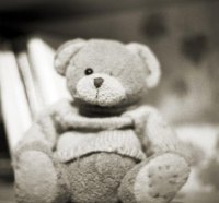 Teddy bear