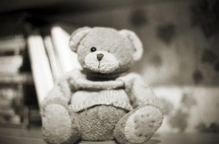 Teddy bear - photo, toy, bear, teddy bear