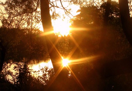 Sunset through the trees - sunset, bayou, trees, river