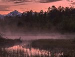 misty lake in a pink morning