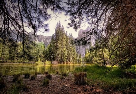 gorgeous landscape - mountains, lake, forest, grass