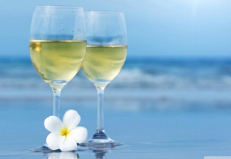 Sunny Cocktails - warm, water, yellow, relaxing, blue, beach, sand, wine, champagne, white, single flower, wine glasses