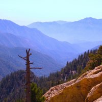 View of a Canyon from a Rocky Slope.