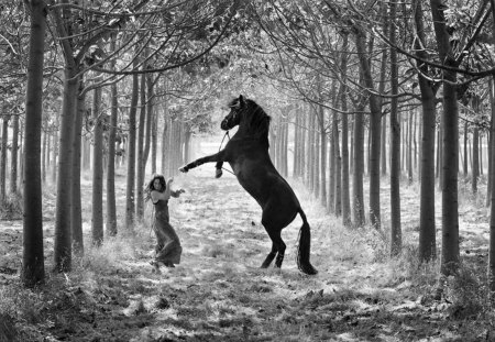 Untamed horse - black, lady, horse, untamed