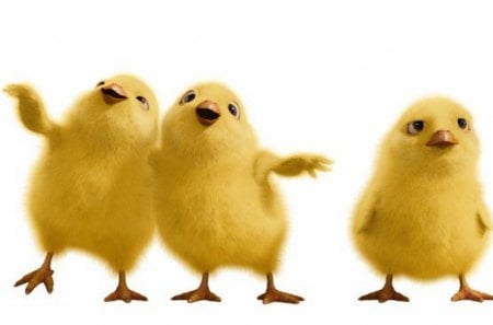 Hop (2011) - funny, cute, bird, spring, yellow, hop, chicken, easter, white, movie, phil