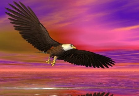 Mighty Eagle - american, purple, artwork, sky, Bald Eagle