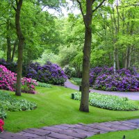 Keukenhof gardens