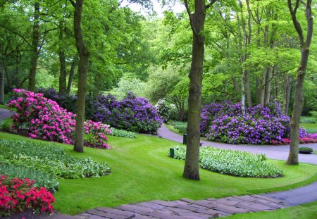 Keukenhof gardens - nice, freshness, trees, colorful, greenery, spring, quiet, pretty, calmness, walk, green, alleys, grass, garden, park, lovely, serenity, bushes, nature, forest, beautiful, keukenhof, flowers