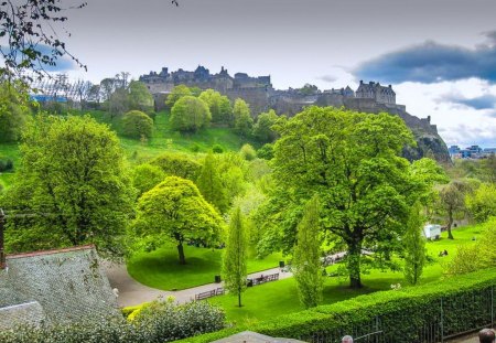 Scottish green - trees, scotland, landscape, green