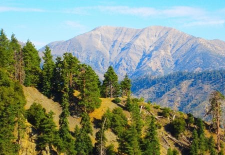 Mount Baldy, view from Grassy Hollows. - serene, imposing, spectacular, thought provoking