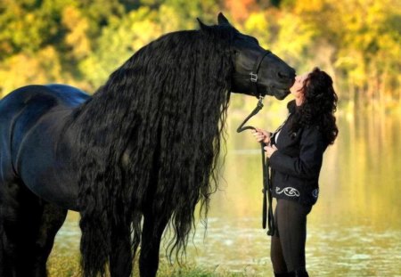 Handsome friend - woman, beauty, horse, friends, black