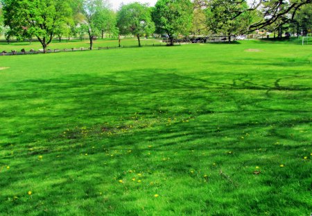 A Beautiful Day - grass, green grass, walk in the park, A Beautiful Day