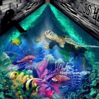 Under Water Street Art Aquarium