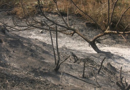 Springs Fire in California