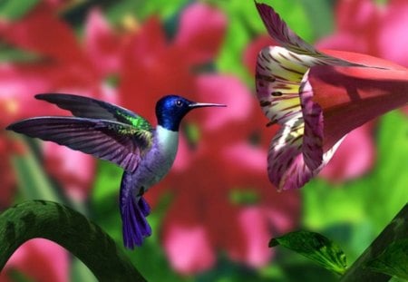 HUMMINGBIRD - wings, colorful, bird, flying, eating, hummingbird, flowers, flower, birds