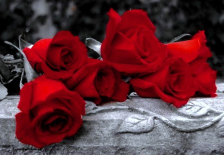 Red roses of love