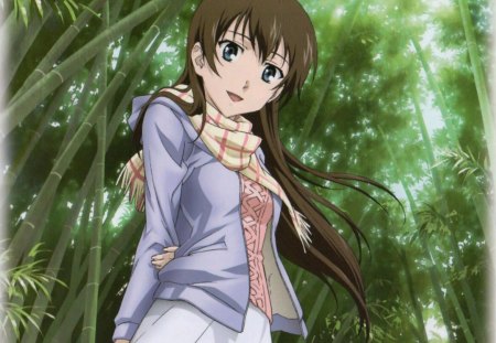 Bamboo Forest - pretty, anime, female, forest, long hair, bamboo, happy, nice, anime girl, hot, girl, lovely, brown hair, sweet, smile, blouse, green, jacket, cute, sexy