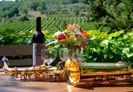 Still Life - flowers, saxophone, music, wine, bottle, vinyard, landscape