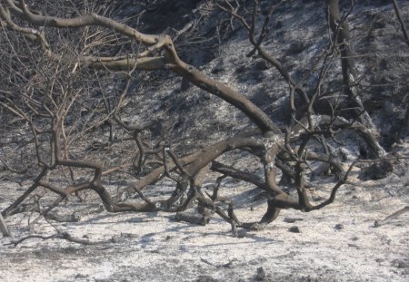 Spring Fire in Southern California