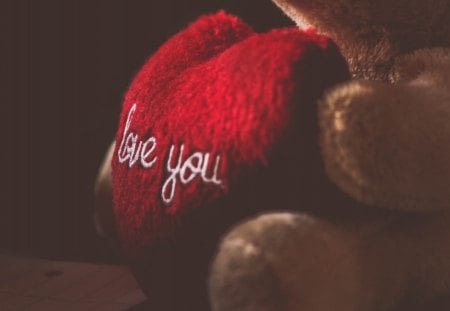 Love You - bear, teddy, Love, You