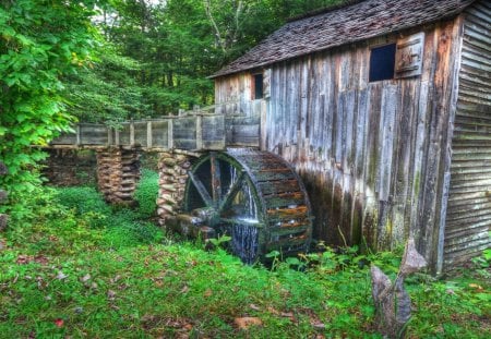 beautiful old mill - sluice, forest, mill, aquaduct, wheel