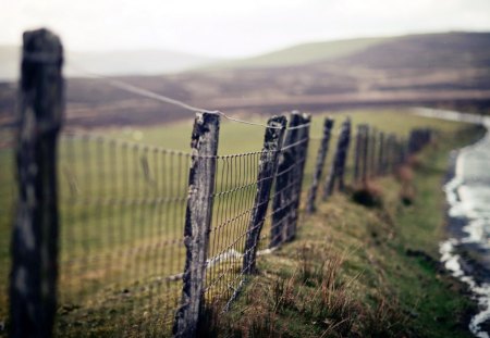 Fence - photo, nature, fence, wood