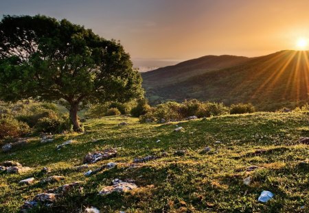 wondrous sunset over a hillside - hills, sunset, hillside, tree, rocks