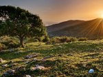 wondrous sunset over a hillside