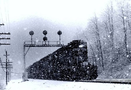 freight train in winter - train, signals, snow, winter, tracks