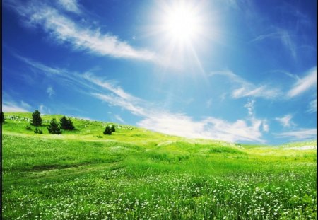 Landscape - field, sky, nature, grass