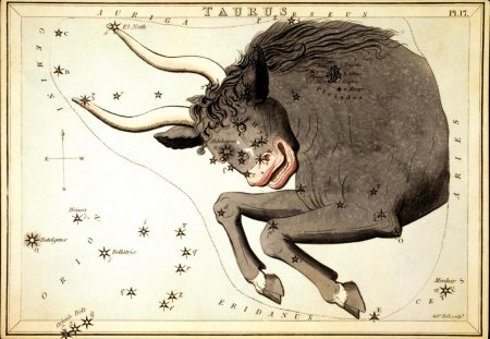 Taurus Constellation - ox, taurus, stars, horns, animal, vintage, bull, constellation, zodiac