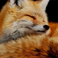 Relaxing