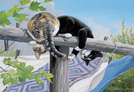 Hangin' up - fence, funny, artwork, kitty