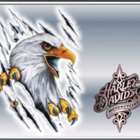 harley-davidson