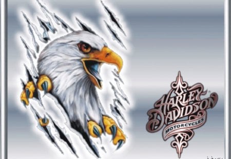 harley-davidson - davidson, motors, eagle, harley