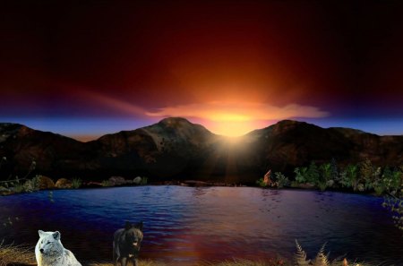 Orange Glow 1920x1080 - sunsets, lakes, mountains, wolf, wolves, animals