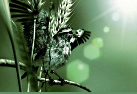 BIRD & BRANCH - bokeh, fields, animals, lovely, sparrow, nature, one color, green, grasses, birds