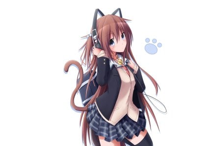 Neko Chan - tails, neko mimi, female, hot, simple, anime girl, nekomimi, brown hair, white, anime, cute, earss, sexy, neko, girl, long hair, hd, headphones, plain